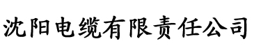 樱桃视频APP看黄电缆厂logo